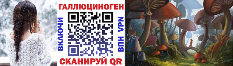 Галлюциногенные грибы прущие грибы  наркошоп  Буй 
